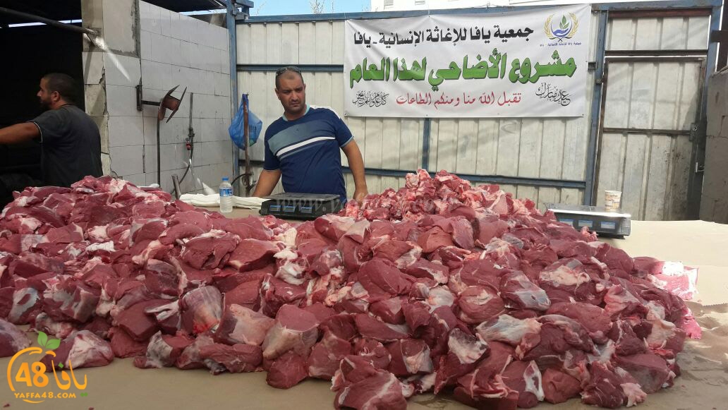 lod8om ada73y (56).jpg